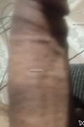 Acompanhante Moranguinho
