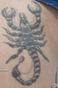 Acompanhante Scorpion