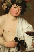 Acompanhante Dante