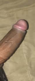 Acompanhante Black