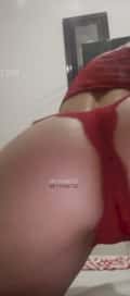 Acompanhante 