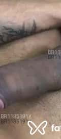 Acompanhante Bernardo