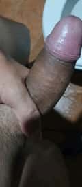 Acompanhante Amaral