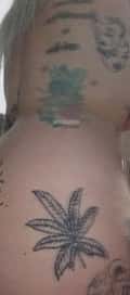 Acompanhante Loirinha