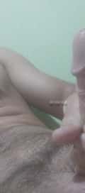 Acompanhante Gildon