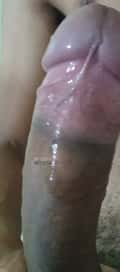 Acompanhante Brenon