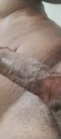 Acompanhante Negroblack