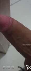 Acompanhante Tay
