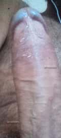 Acompanhante Jorge