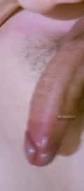 Acompanhante Dez