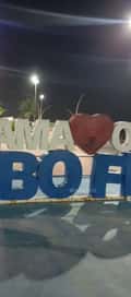 Acompanhante Vêloira
