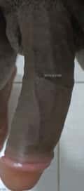 Acompanhante Ricardo