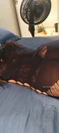 Acompanhante Paloma