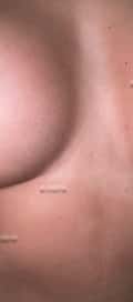 Acompanhante Lorena