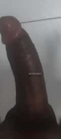 Acompanhante Gustavo