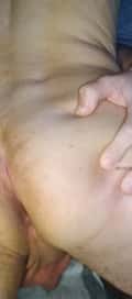 Acompanhante Elnovinho