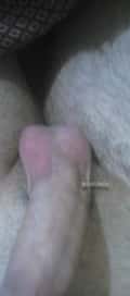 Acompanhante Gostososb