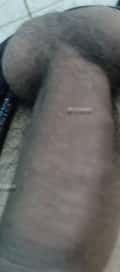 Acompanhante Cristopher