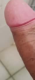 Acompanhante Ricardo Ribeiro