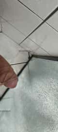 Acompanhante Thor
