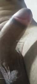 Acompanhante Ricardo