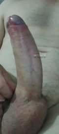Acompanhante Belletty