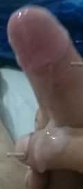 Acompanhante Malvado