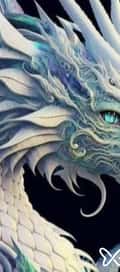 Acompanhante Drago