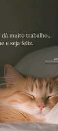 Acompanhante Vanessinha