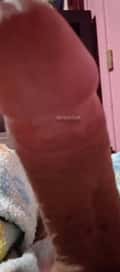 Acompanhante Roberto