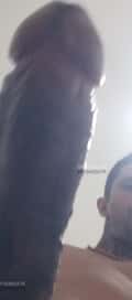 Acompanhante Henrique