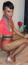 Acompanhante Lupita Palacios