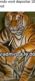 Acompanhante Conta Cancelada