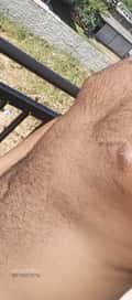 Acompanhante Carlos