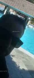 Acompanhante Jhoow