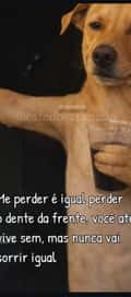 Acompanhante Pablo