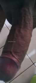Acompanhante Jorge