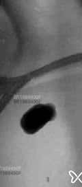 Acompanhante Luna