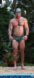 Acompanhante Harald