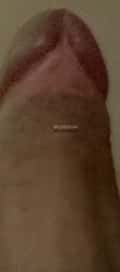 Acompanhante Rodrigo
