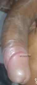 Acompanhante Morenopauzudo