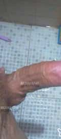 Acompanhante Joao Telles