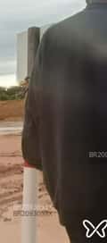 Acompanhante Pigzinho