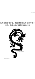 Acompanhante Dragon
