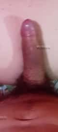 Acompanhante Ogatão