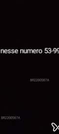Acompanhante Gonçalves