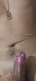Acompanhante Lex