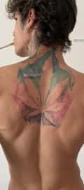 Acompanhante Smoke Ink