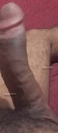 Acompanhante Bharani