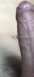 Acompanhante Lobãooo